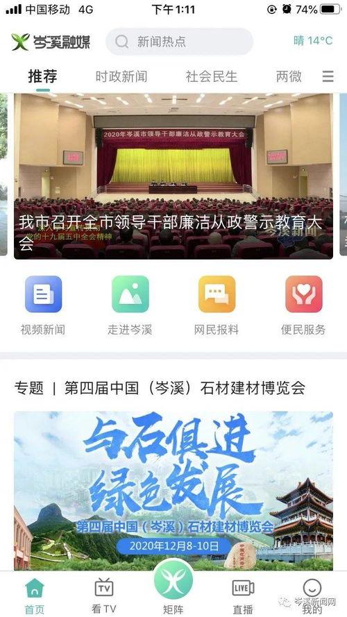 网民最新爆料新闻,网民最新爆料，惊天新闻背后真相曝光！  第2张