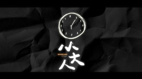 爆料小大人视频,小大人爆笑视频背后的成长故事  第2张