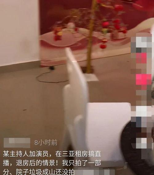 诗琪房间爆料视频,揭秘明星私生活幕后真相