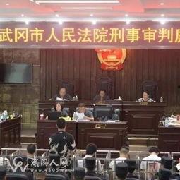 武冈新闻爆料最新情况,事件进展及最新动态揭晓  第3张