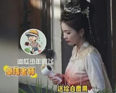 爆料白鹿恋情视频播放时间,甜蜜互动引网友热议，播放量飙升  第3张