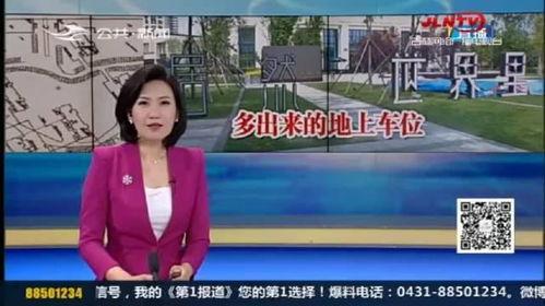 返厂最新爆料视频大全集,揭秘行业幕后真相