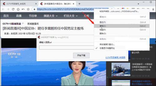 外网爆料海哥视频下载软件,一键下载，畅享海量视频资源