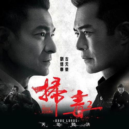 扫毒2之天地对决在线观看,天地对决——毒品世界的生死较量，正义与邪恶的巅峰对决
