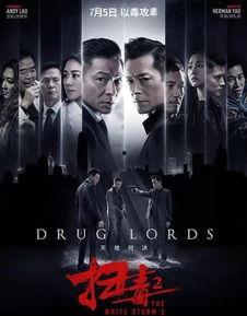 扫毒2之天地对决在线观看,天地对决——毒品世界的生死较量，正义与邪恶的巅峰对决  第2张