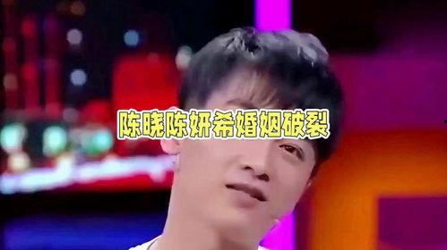 娱乐圈吃瓜陈晓是谁,娱乐圈吃瓜达人，揭秘明星幕后故事  第2张