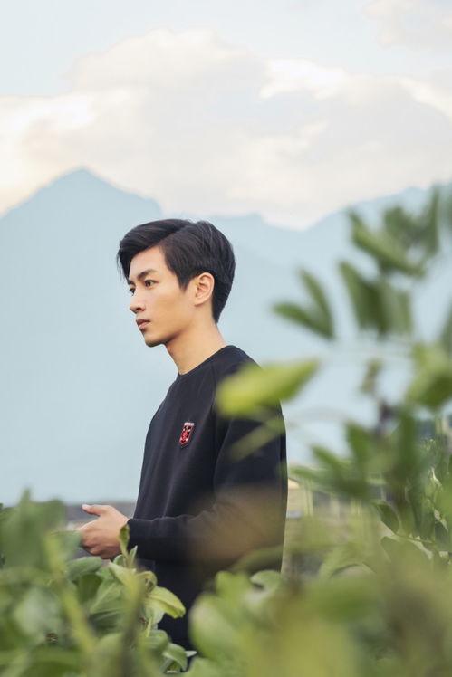 娱乐圈吃瓜陈晓是谁,娱乐圈吃瓜达人，揭秘明星幕后故事  第3张