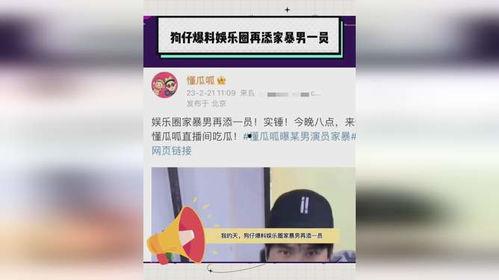 狗仔爆料家暴视频大全,家暴视频大全，触目惊心的家庭悲剧
