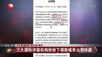 黑天鹅内鬼爆料视频在线观看,内鬼爆料视频在线观看全解析
