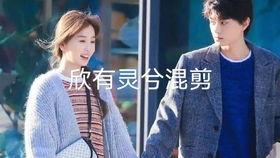 棣棣欣欣最新爆料,揭秘娱乐圈幕后真相  第2张
