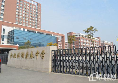 合肥高中爆料事件最新情况,真相逐步浮出水面，学生家长权益引关注