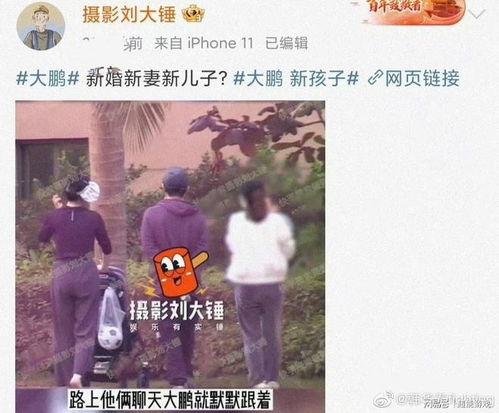 大鹏天涯爆料视频,娱乐圈幕后真相大曝光  第2张