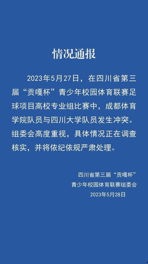 四川大学最新爆料新闻报道,揭秘校园热点事件背后的真相  第2张