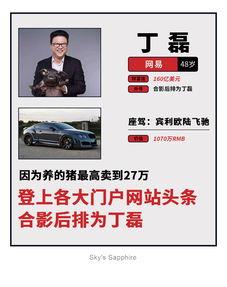 大佬八卦爆料视频网站,视频网站背后的风云涌动
