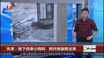 前安村挖沙新闻爆料视频,揭秘背后真相与争议 第2张 前安村挖沙新闻爆料视频,揭秘背后真相与争议 第2张