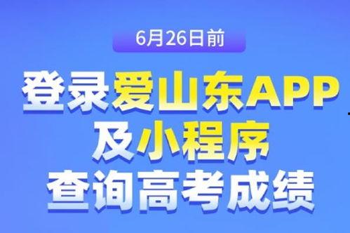 东营负面新闻爆料最新消息,环保违规事件引发社会关注  第2张
