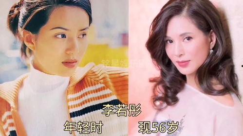 娱乐圈明星爆料白皮书,揭秘明星私生活与公众形象背后的真相