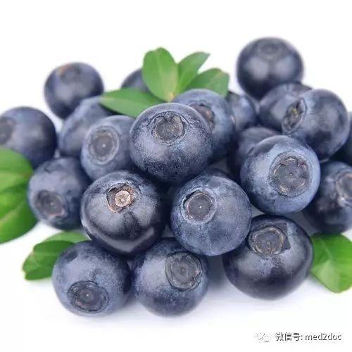 娱乐吃瓜酱蓝莓视频大全,娱乐吃瓜酱带你领略视觉盛宴  第3张