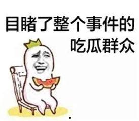 娱乐吃瓜酱肥肥猪的日常,笑料百出,趣味横生 第2张 娱乐吃瓜酱肥肥猪的日常,笑料百出,趣味横生 第2张