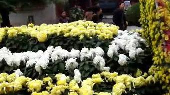 包公游地府在线观看,揭秘古代传奇故事,在线观看惊悚悬疑之旅 第3张 包公游地府在线观看,揭秘古代传奇故事,在线观看惊悚悬疑之旅 第3张