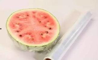 吃瓜小记免费阅读,免费阅读背后的故事 第1张 吃瓜小记免费阅读,免费阅读背后的故事 第1张