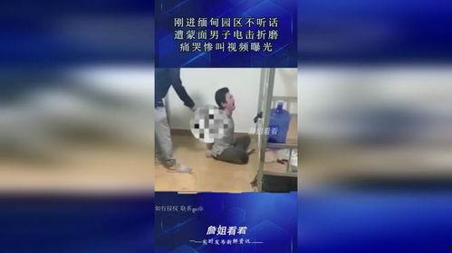 男子爆料电击视频大全集,男子爆料电击视频大全集深度解析  第2张