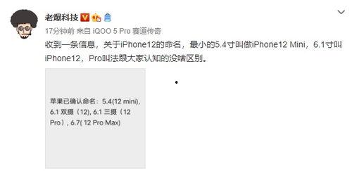 苹果12 最新爆料下载,颠覆性设计、超强性能,揭秘未来旗舰新篇章 第2张 苹果12 最新爆料下载,颠覆性设计、超强性能,揭秘未来旗舰新篇章 第2张