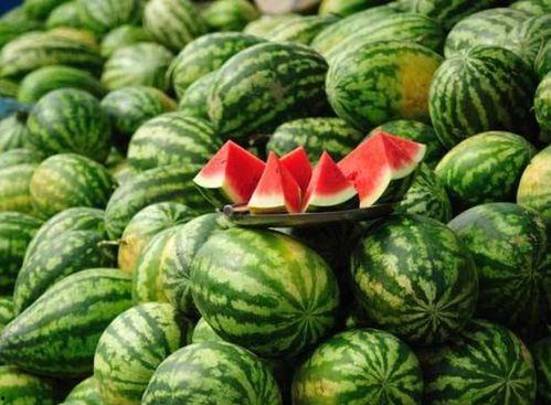 网红吃瓜群怎么找,如何轻松找到热门话题聚集地 第3张 网红吃瓜群怎么找,如何轻松找到热门话题聚集地 第3张