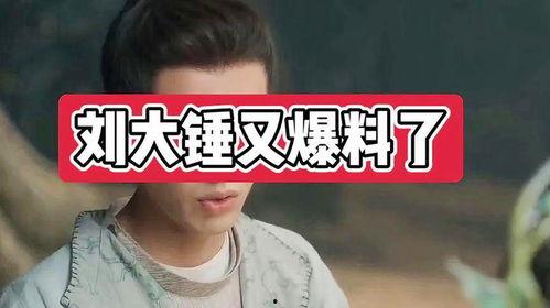 刘大锤爆料吵架视频大全,吵架视频大全精彩瞬间 第2张 刘大锤爆料吵架视频大全,吵架视频大全精彩瞬间 第2张