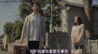 岛国撸在线观看,揭秘神秘岛国风情