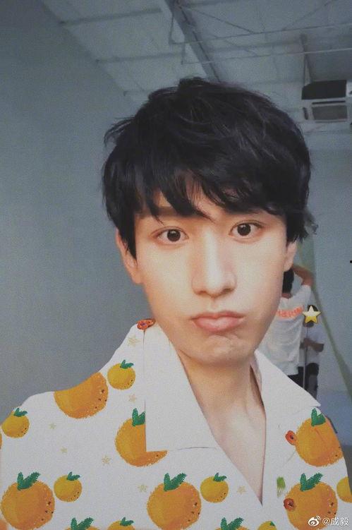 成毅家庭背景爆料视频,爆料视频揭示明星成长故事 第2张 成毅家庭背景爆料视频,爆料视频揭示明星成长故事 第2张