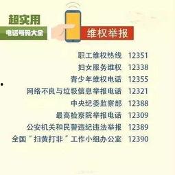 丹东市新闻爆料电话号码,揭秘市民身边新闻动态 第2张 丹东市新闻爆料电话号码,揭秘市民身边新闻动态 第2张