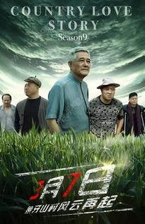 乡9 在线观看,穿越时空的乡村奇遇