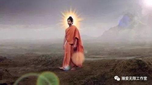 佛陀全集在线观看,在线观看，探索佛陀智慧之旅