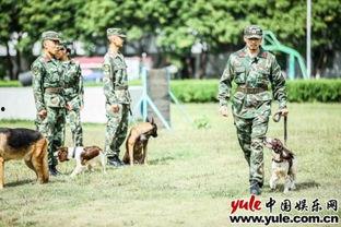 铁汉奇兵在线观看,热血征程,战火中的英雄传奇 第3张 铁汉奇兵在线观看,热血征程,战火中的英雄传奇 第3张