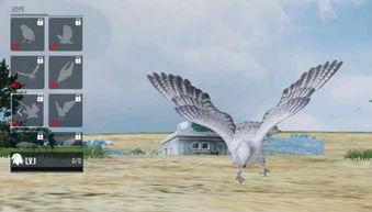 隼最新爆料,揭秘娱乐圈最新动态与幕后故事 第3张 隼最新爆料,揭秘娱乐圈最新动态与幕后故事 第3张