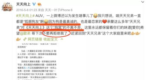 爆料娱乐圈模板下载,揭秘明星幕后故事，独家爆料等你来探秘