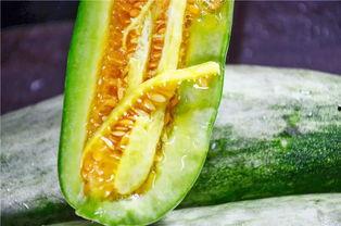 网红吃瓜视频大全,揭秘娱乐圈幕后故事