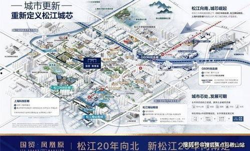 杜楼楼的爆料视频在哪可以看到,揭秘幕后真相，带你一探究竟