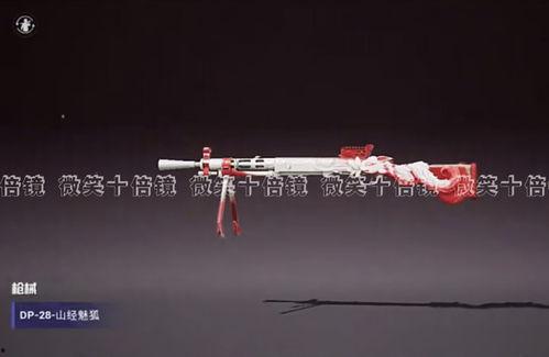 吃鸡新皮肤爆料视频在哪看,独家爆料视频观看指南