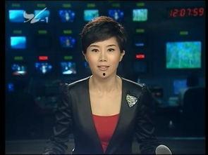 安徽卫视新闻爆料电话,揭秘幕后新闻线索来源