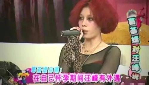 小霸王前妻爆料视频,揭秘夫妻恩怨与事业纠葛 第3张 小霸王前妻爆料视频,揭秘夫妻恩怨与事业纠葛 第3张