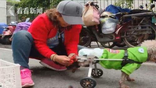 吃瓜车祸网红是谁啊视频,视频背后的惊人真相 第3张 吃瓜车祸网红是谁啊视频,视频背后的惊人真相 第3张