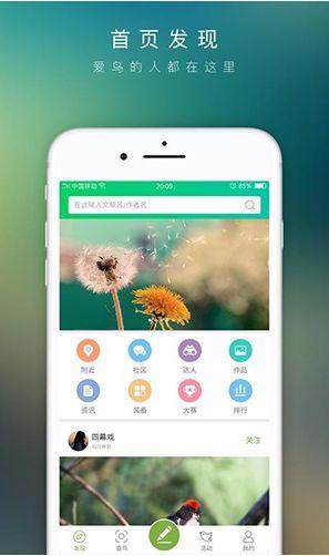 爱鸟在线观看,一场关于自然与生命的视觉盛宴 第2张 爱鸟在线观看,一场关于自然与生命的视觉盛宴 第2张