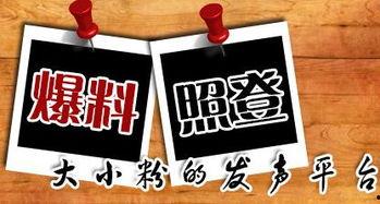 潮汕曝光爆料新闻,揭秘背后惊人真相