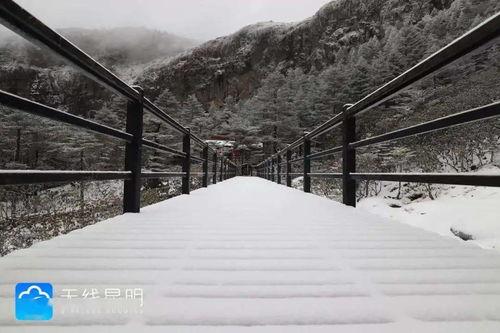 昆明爆料下雪视频大全,网友视频记录冬日美景