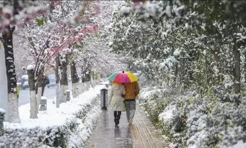 昆明爆料下雪视频大全,网友视频记录冬日美景 第2张 昆明爆料下雪视频大全,网友视频记录冬日美景 第2张