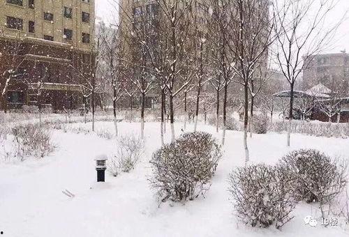 昆明爆料下雪视频大全,网友视频记录冬日美景 第3张 昆明爆料下雪视频大全,网友视频记录冬日美景 第3张