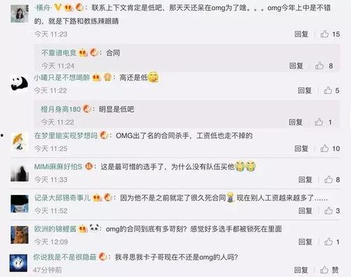 圈内大爆料是什么意思,圈内大爆料背后的惊人真相