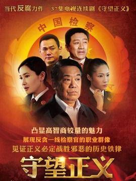 守望正义全集在线观看,全集在线观看，正义之光照亮黑暗角落